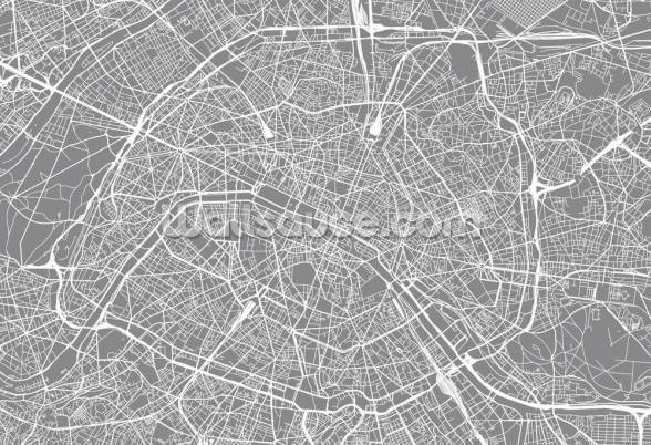 monochrome paris map