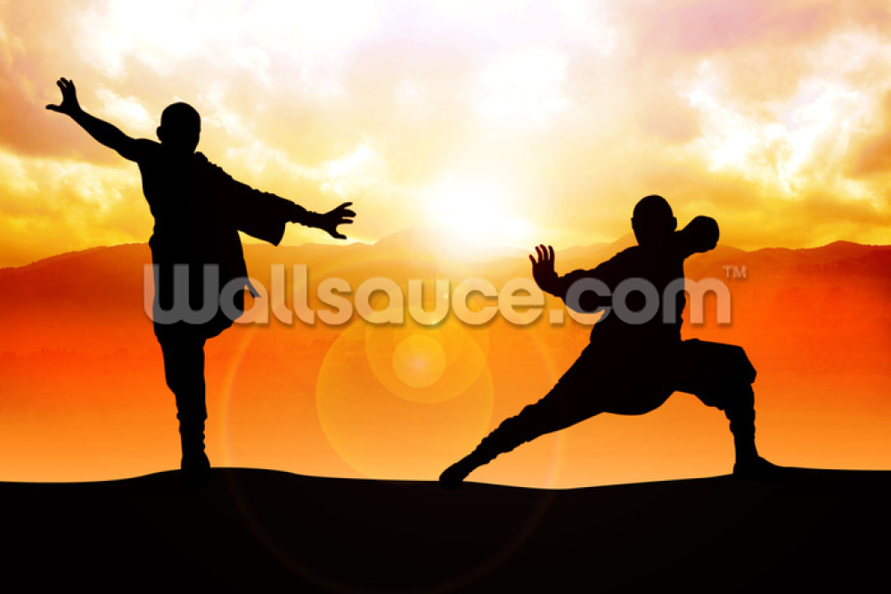Silhouette Illustration Of Martial Art Stance Mural Wallsauce Au