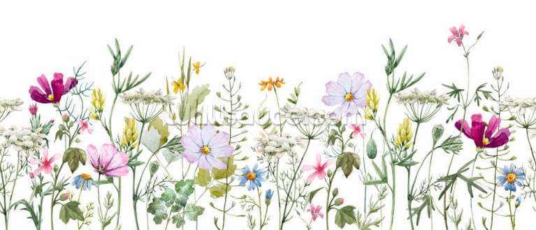 Delicate Floral Meadow Delicate Floral Meadow