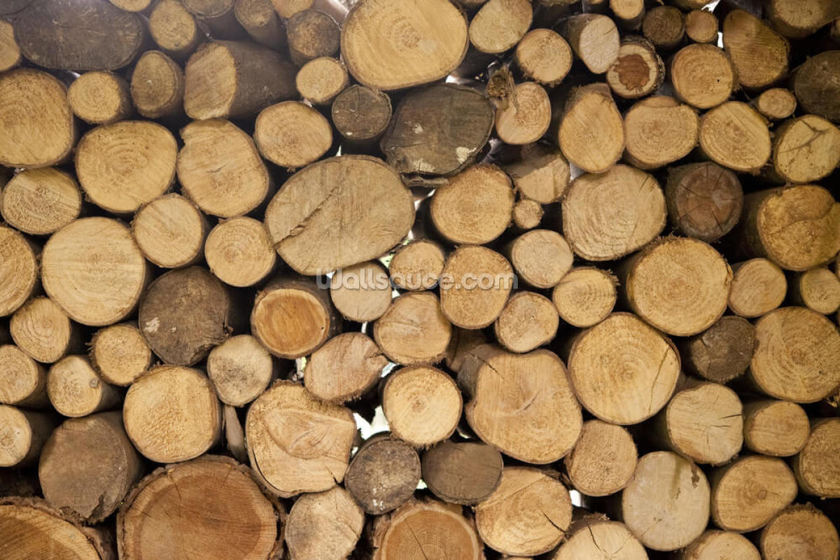 stack-logs