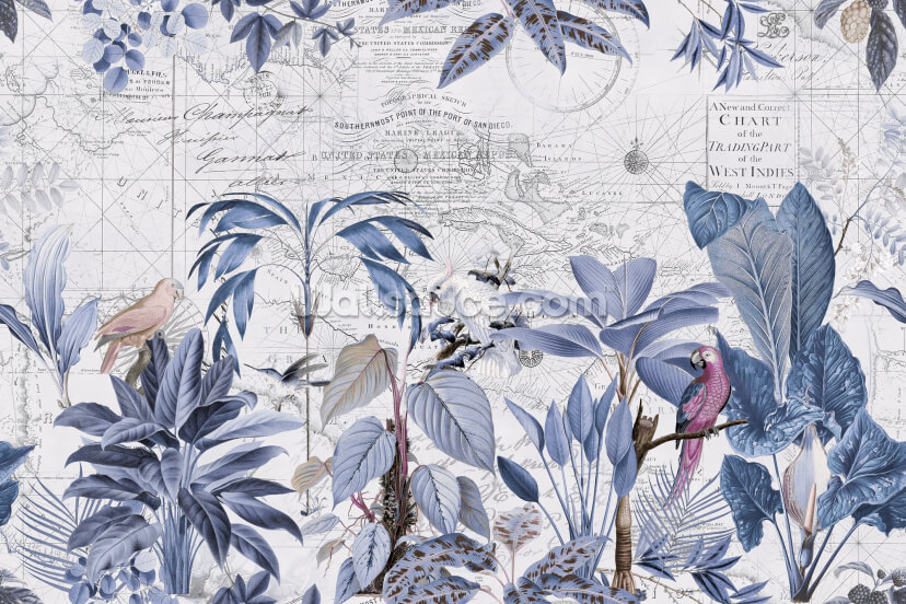 Exotic Birds Journey 2