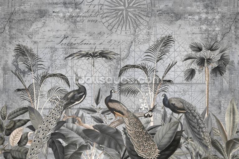 Peacocks Clan 4 Peacocks Clan 4