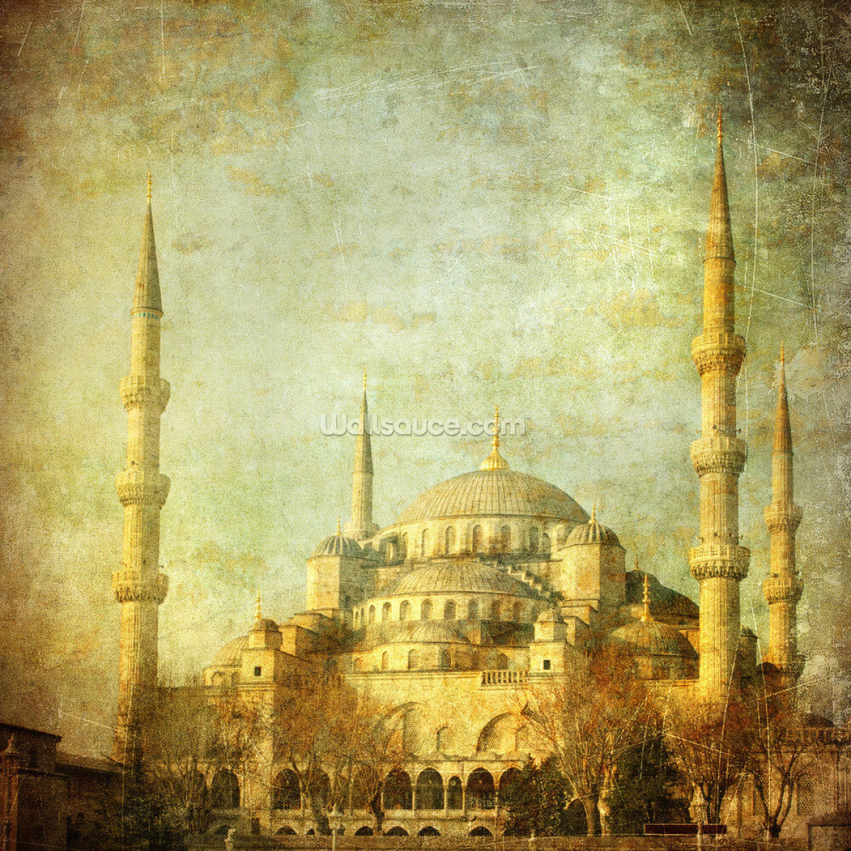 moschea-blu-vintage-istanbul