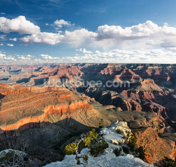 grand canyon