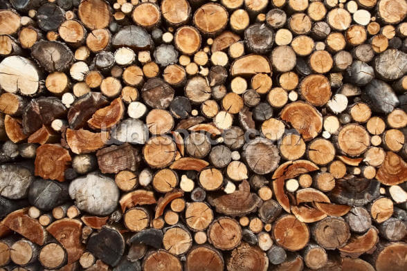 Pile Of Fire Wood Wallpaper Wallsauce Ca