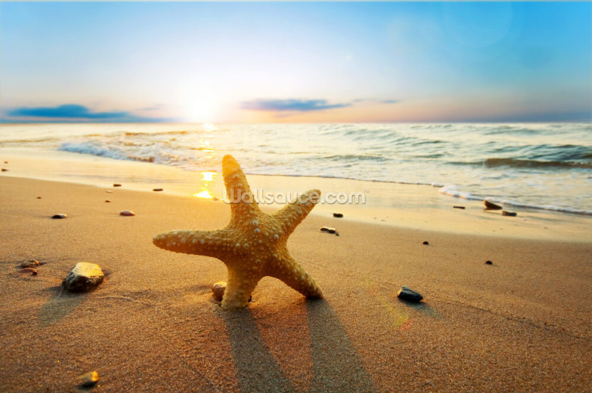 stella-marina-al-tramonto