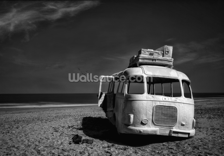 Beached Bus Beached Bus