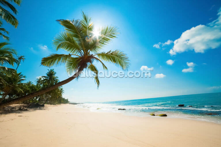 Papier peint papier peint la fresque 15f0011560 ensoleillée plage nature Palmiers plage sable 