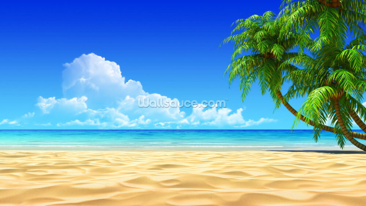 palme-sulla-spiaggia-tropicale-idilliaca-vuota