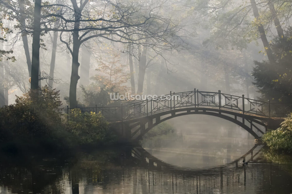 puente-viejo-en-misty-autumn-park