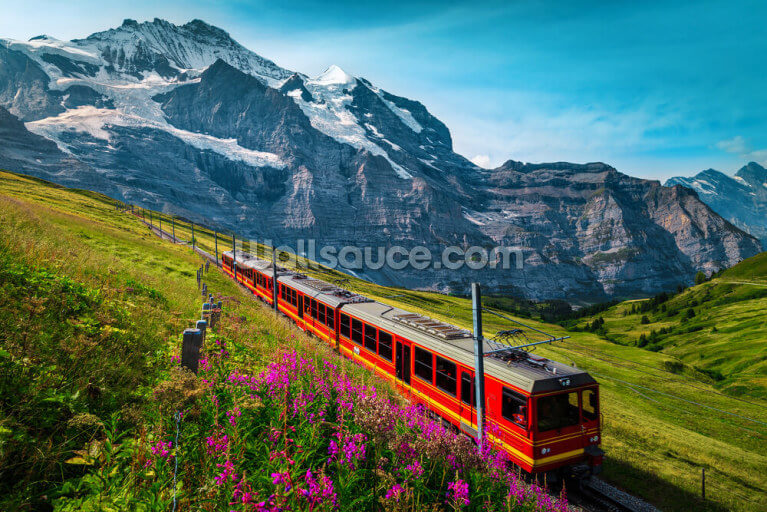 Switzerland Train Switzerland Train