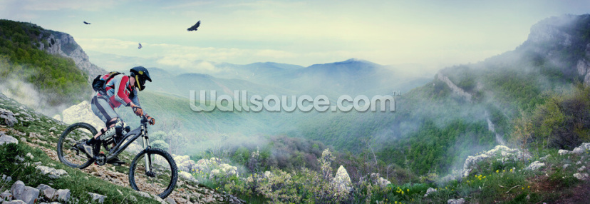 Cyclist in the mountains