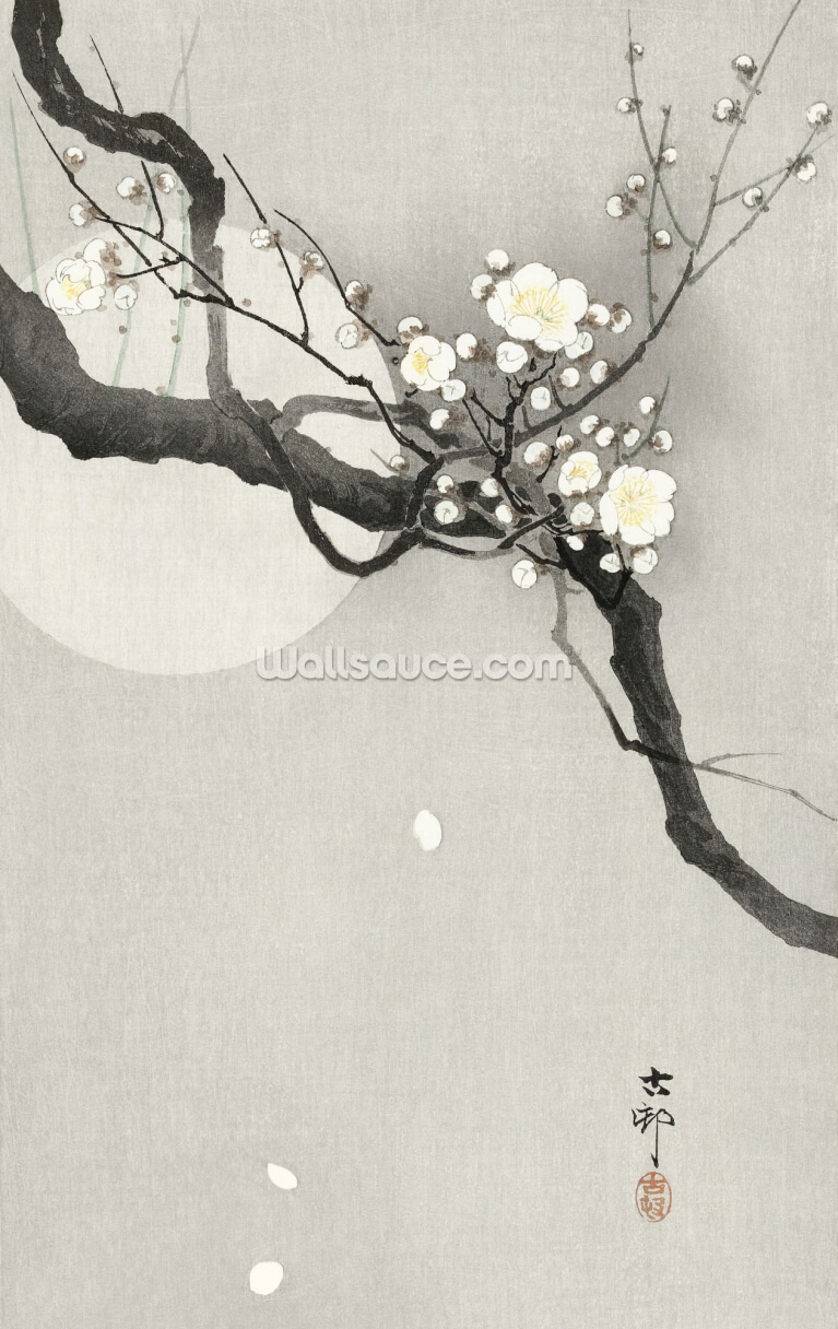Plum Blossom and Full Moon Plum Blossom and Full Moon