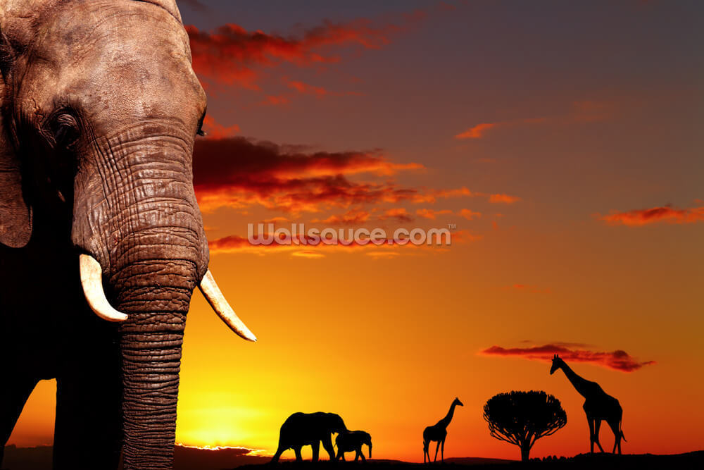 African Safari Wallpaper Wallsauce Uk