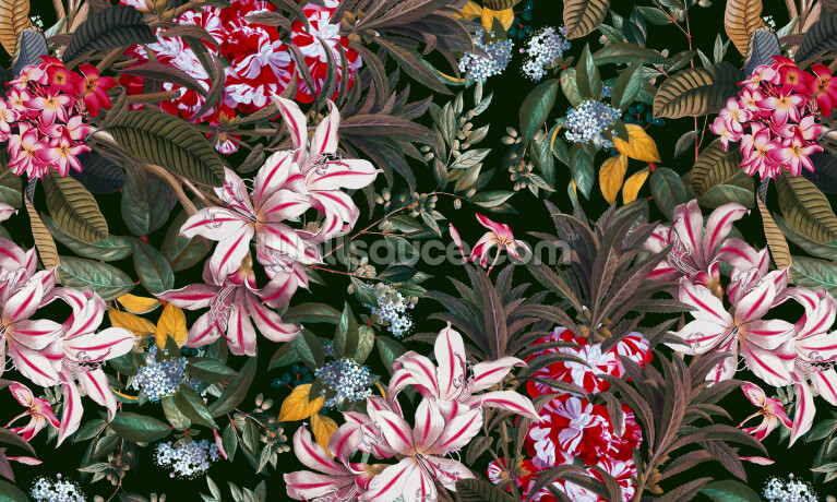 Lilly Jungle Lilly Jungle