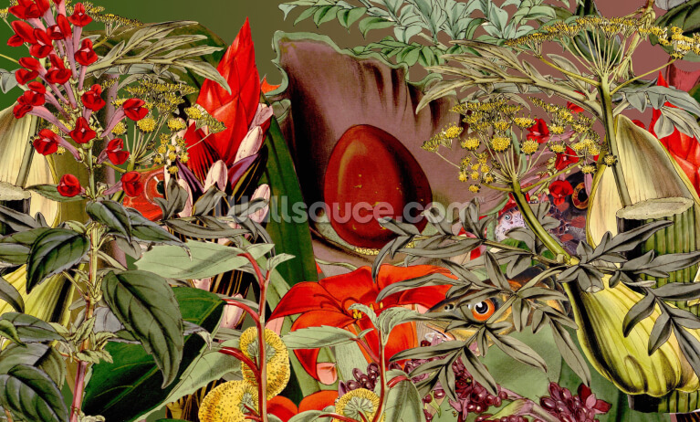 Hidden Creatures Hidden Creatures