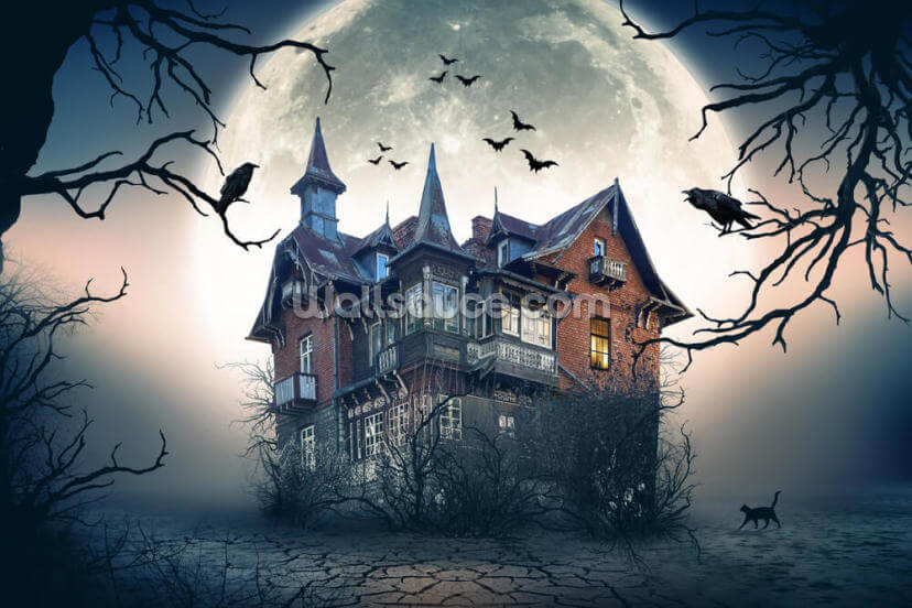 Haunted House Haunted House