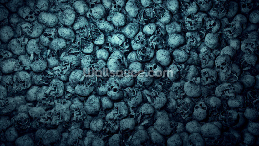 Skull Pile Skull Pile