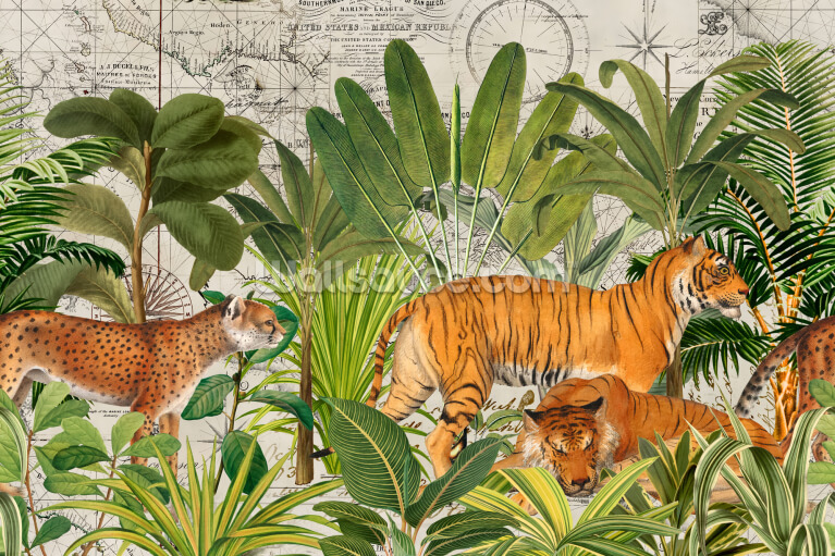 Tiger Wallpaper & Wall Murals | Wallsauce US