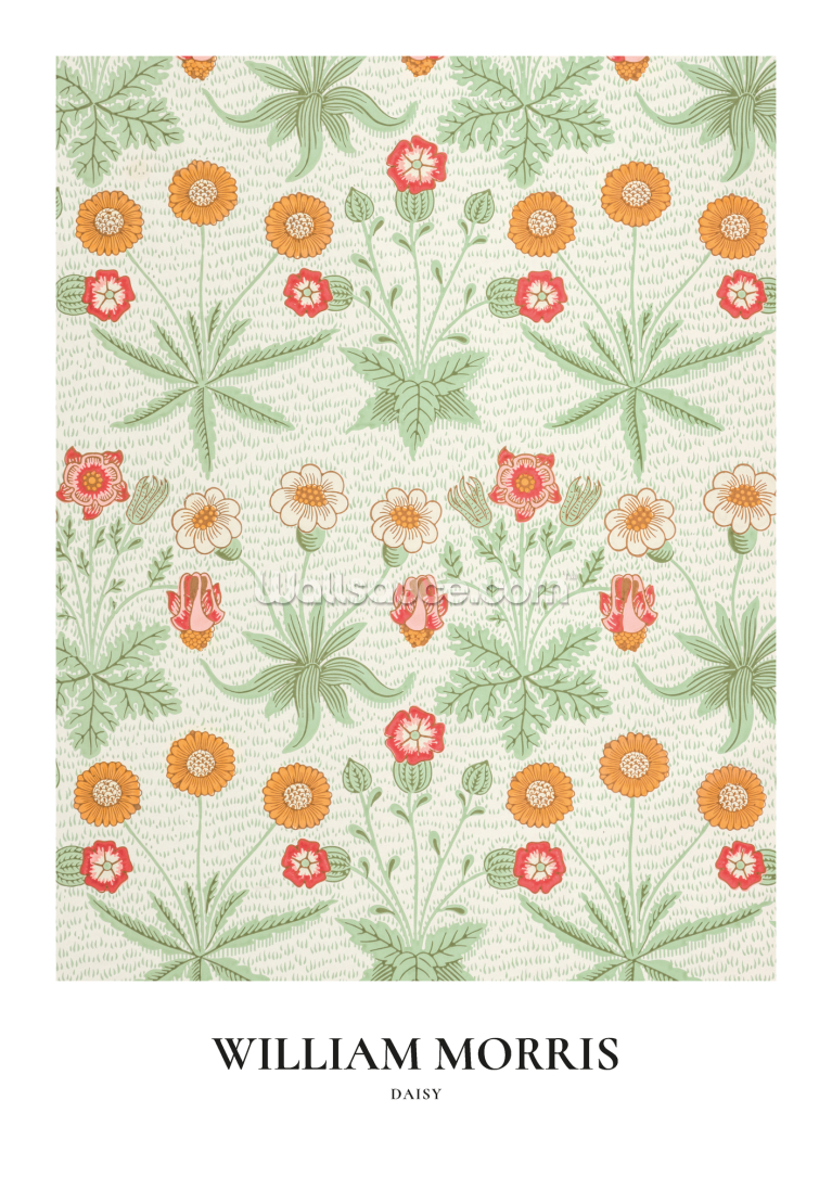 Daisy Pattern 1862 Daisy Pattern 1862