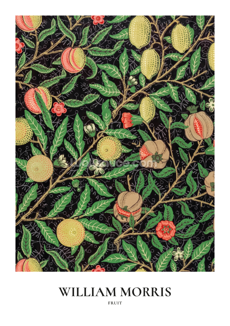 Fruit Pattern 1862 Fruit Pattern 1862