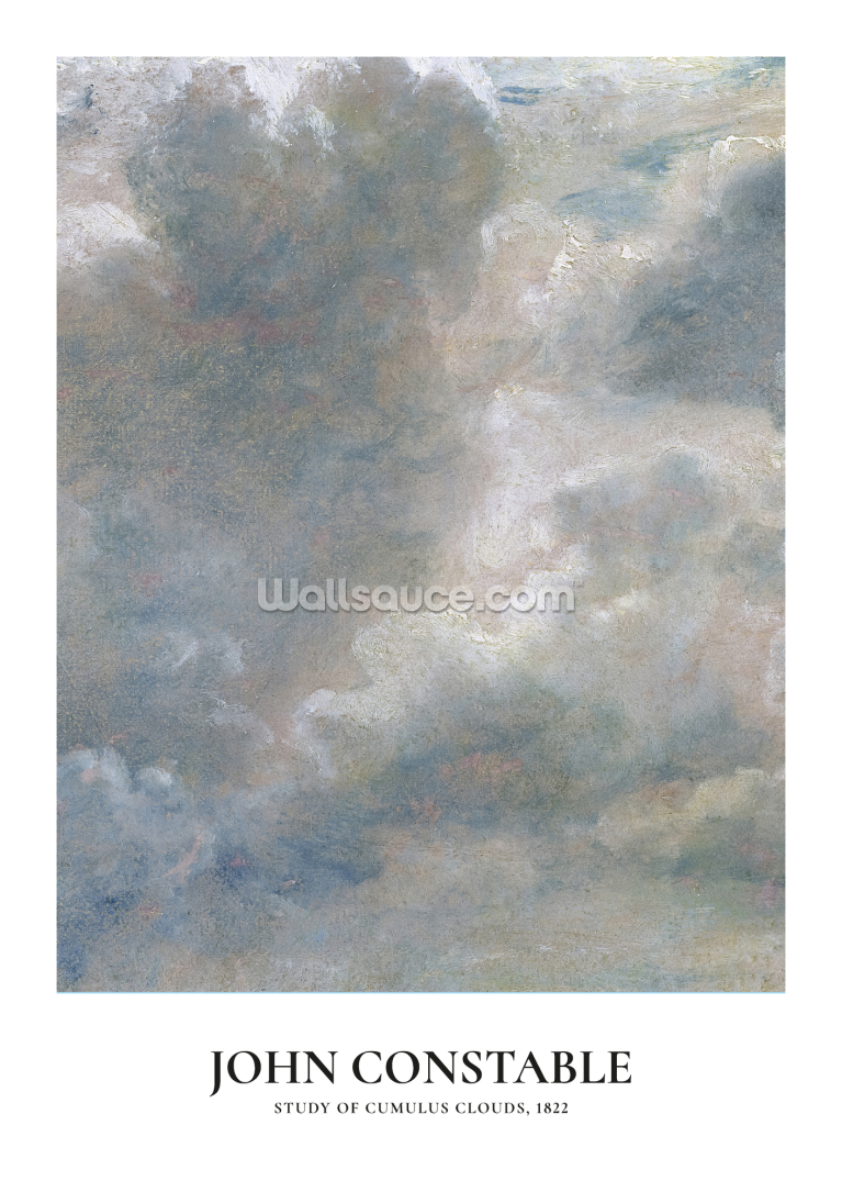 Study of Cumulus Clouds Study of Cumulus Clouds