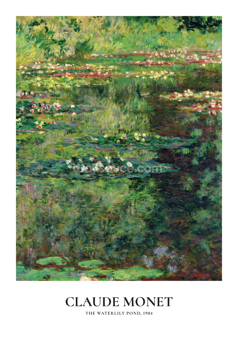 The Waterlily Pond The Waterlily Pond