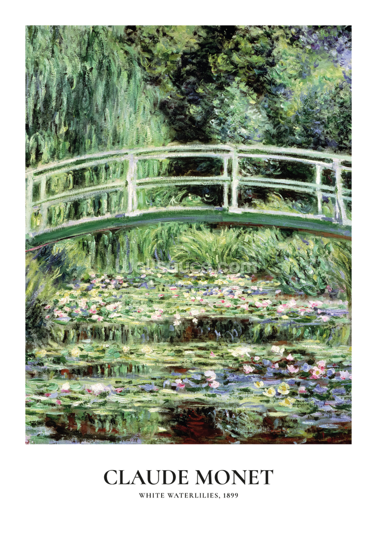 White Waterlilies White Waterlilies