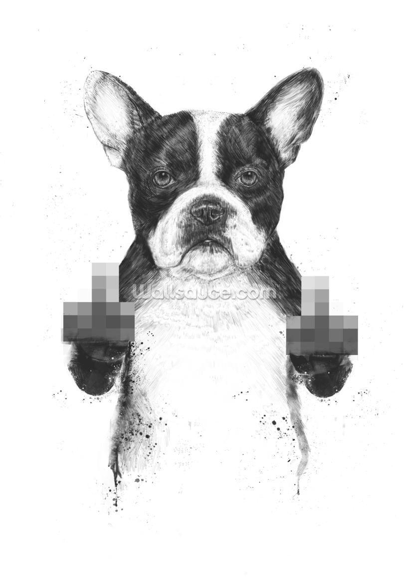Censored Dog Censored Dog