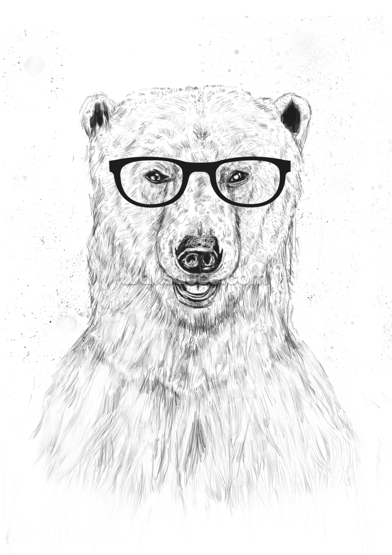 Geek Bear Geek Bear