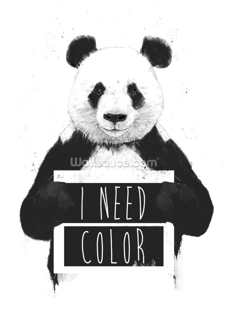 I Need Colour I Need Colour