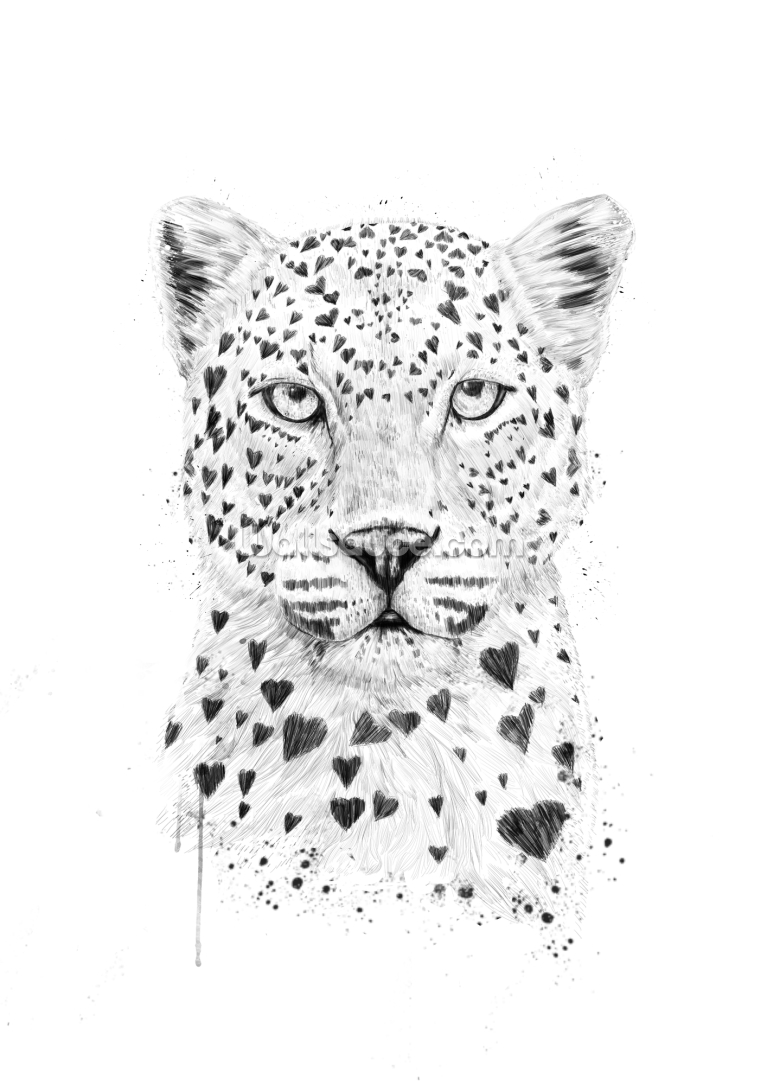 Lovely Leopard Lovely Leopard