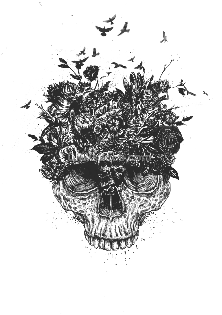 My Head Is A Jungle My Head Is A Jungle