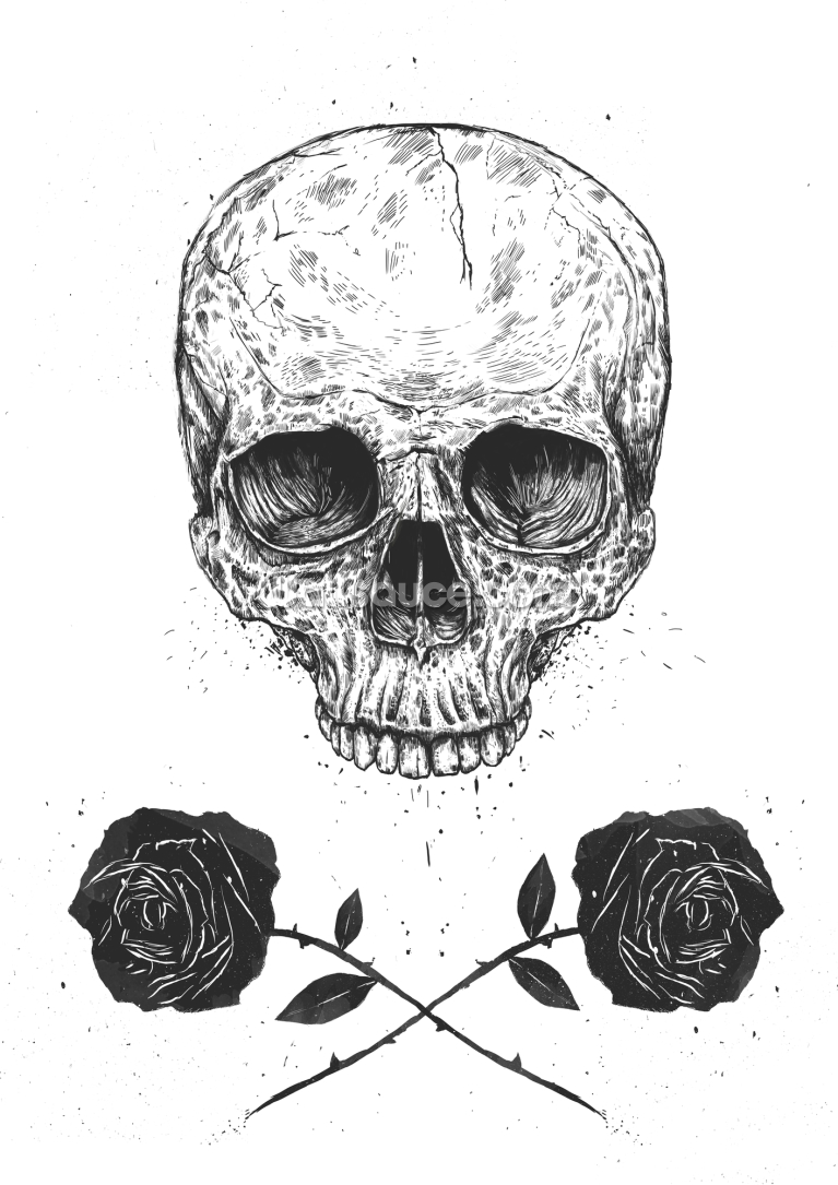 Skull N Roses Skull N Roses