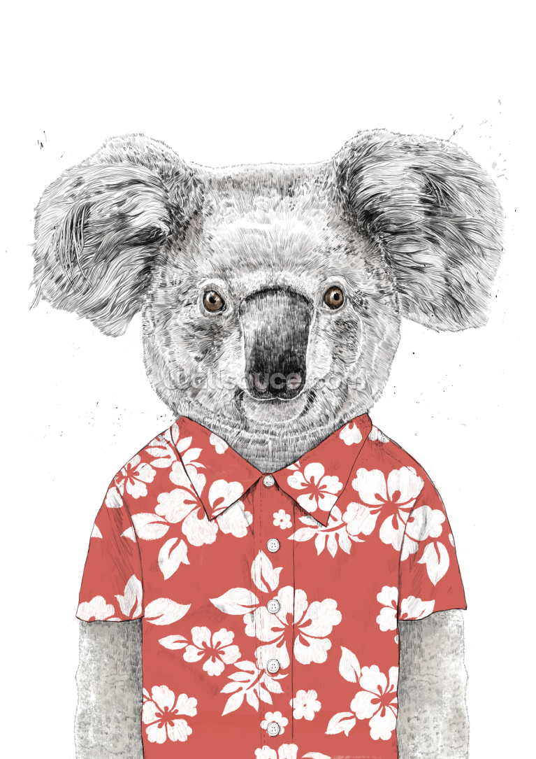 Summer Koala Red Summer Koala Red