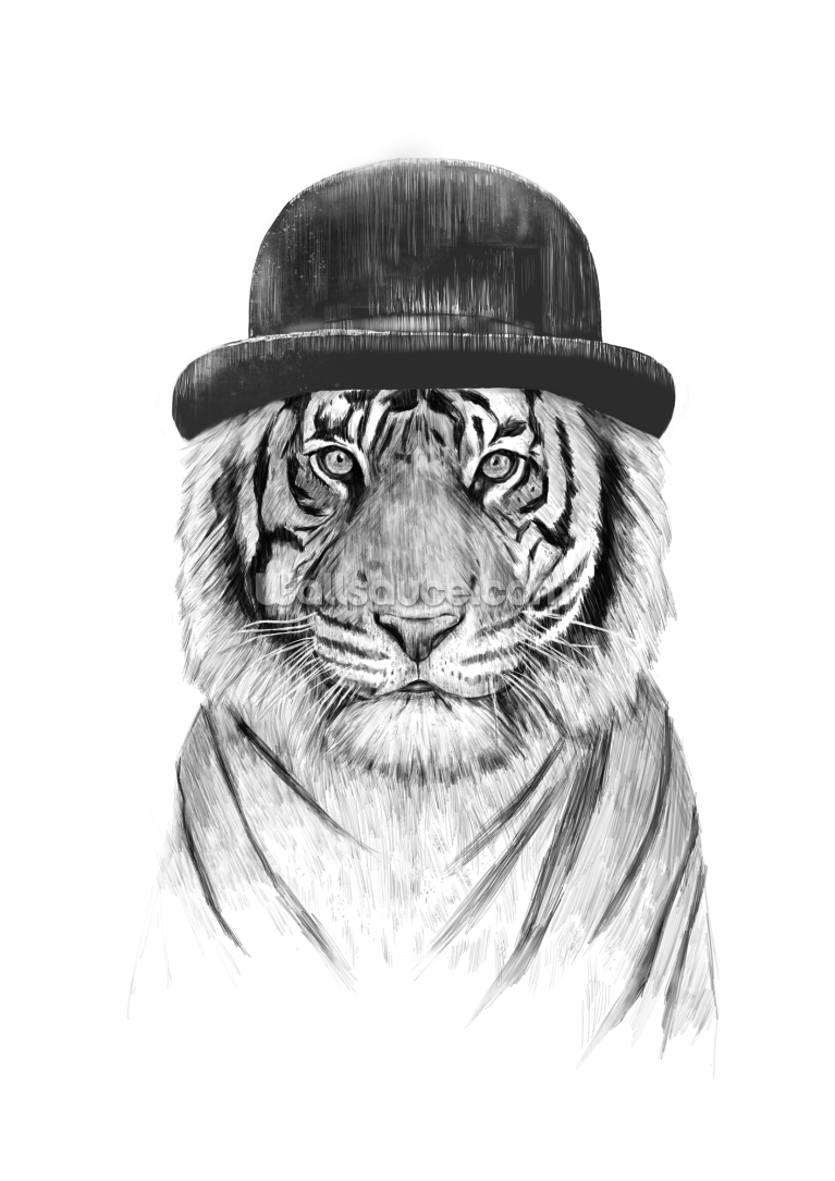 Welcome To The Jungle Welcome To The Jungle