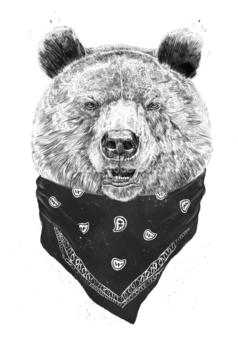 Wild Bear Wild Bear