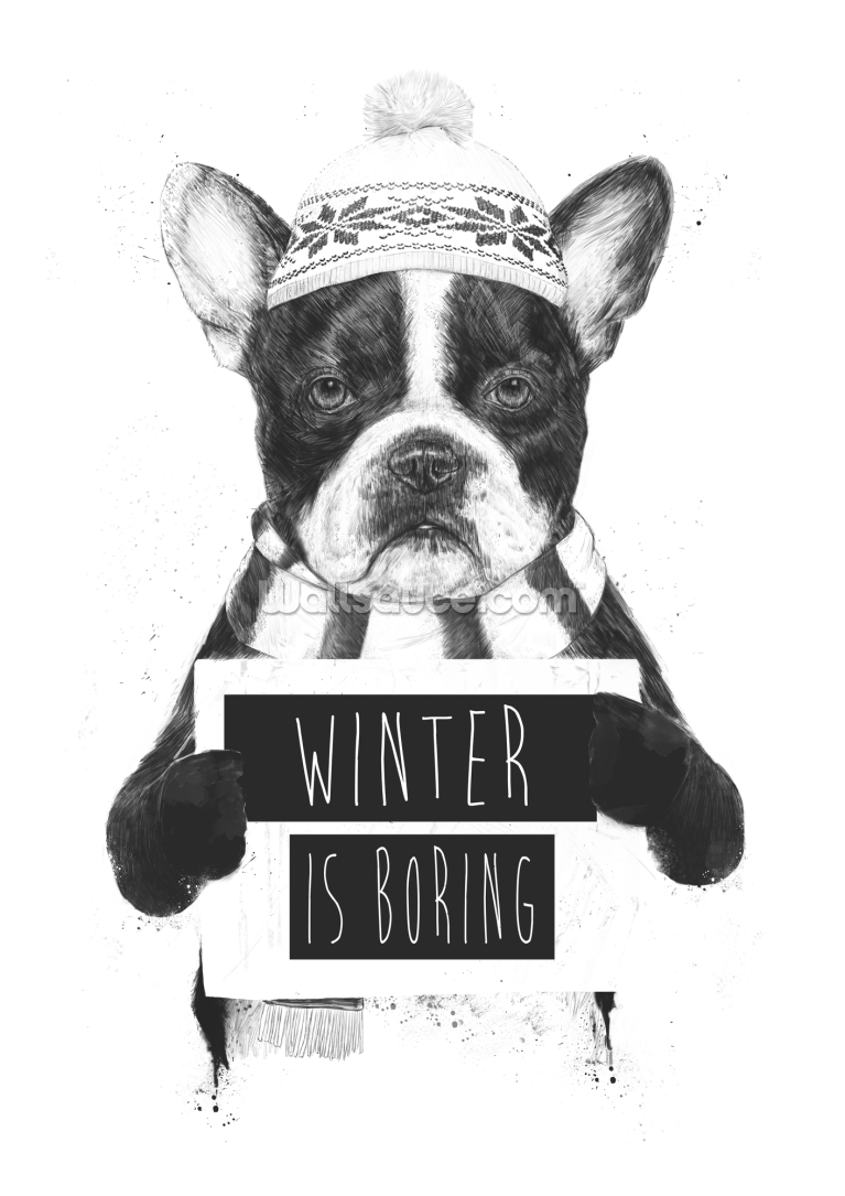 Winter Is Boring Winter Is Boring