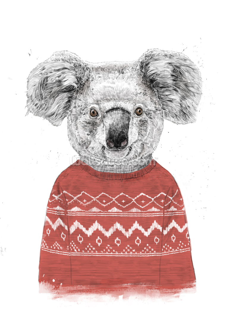 Winter Koala Red Winter Koala Red