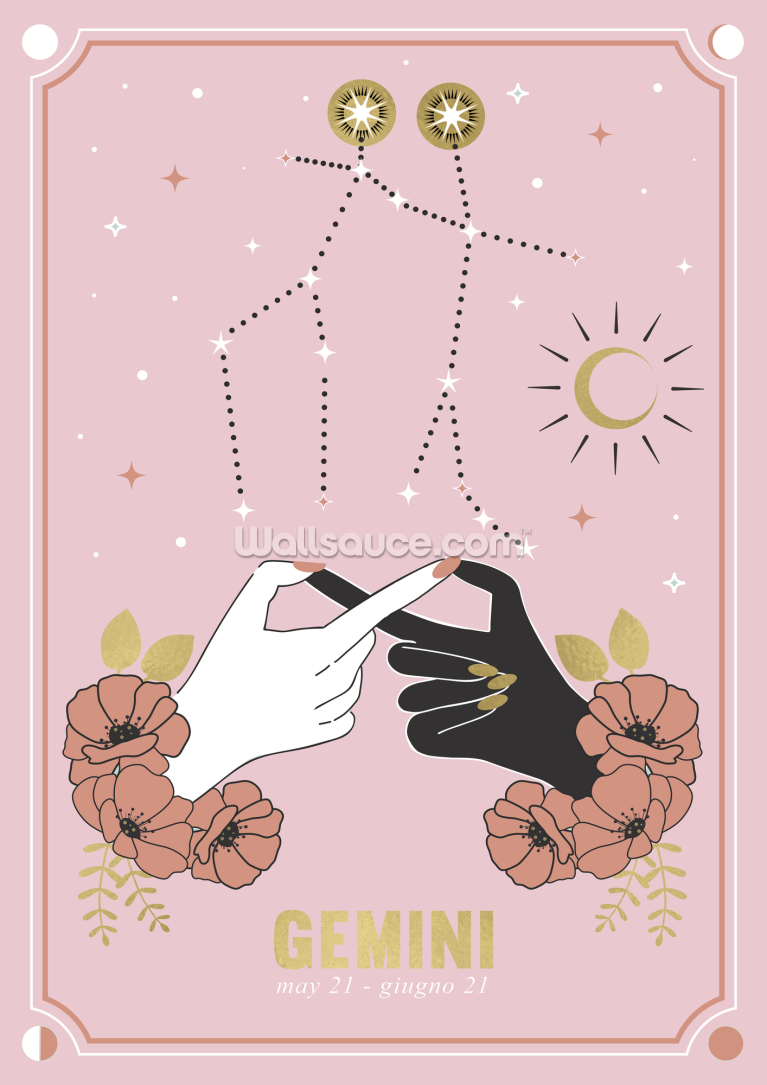Gemini Gemini