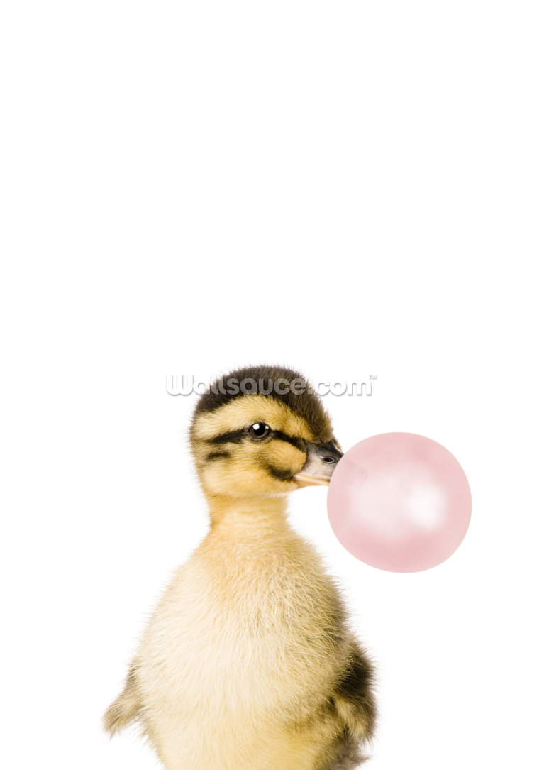 Bubble Gum Duckling Bubble Gum Duckling