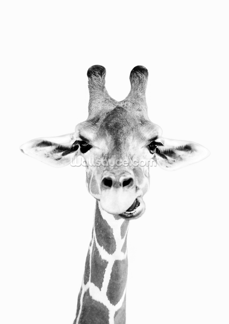 Happy Giraffe Black White Happy Giraffe Black White