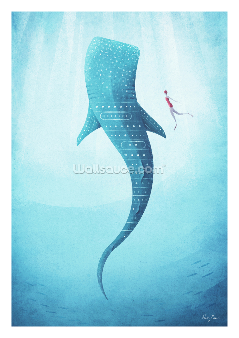 Whale Shark Whale Shark