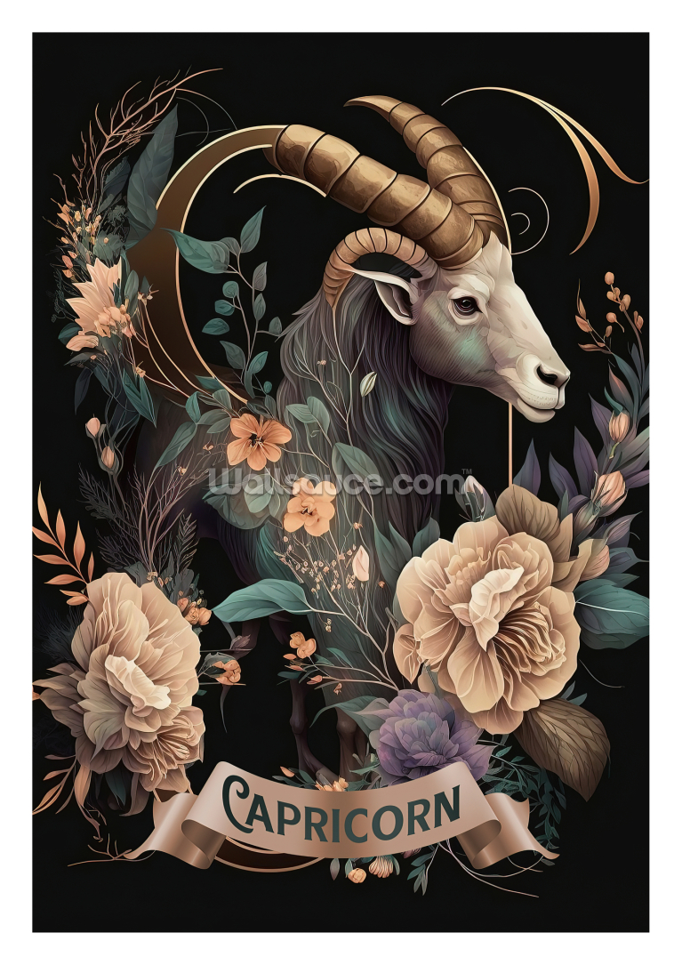 Horoscope Capricorn Horoscope Capricorn