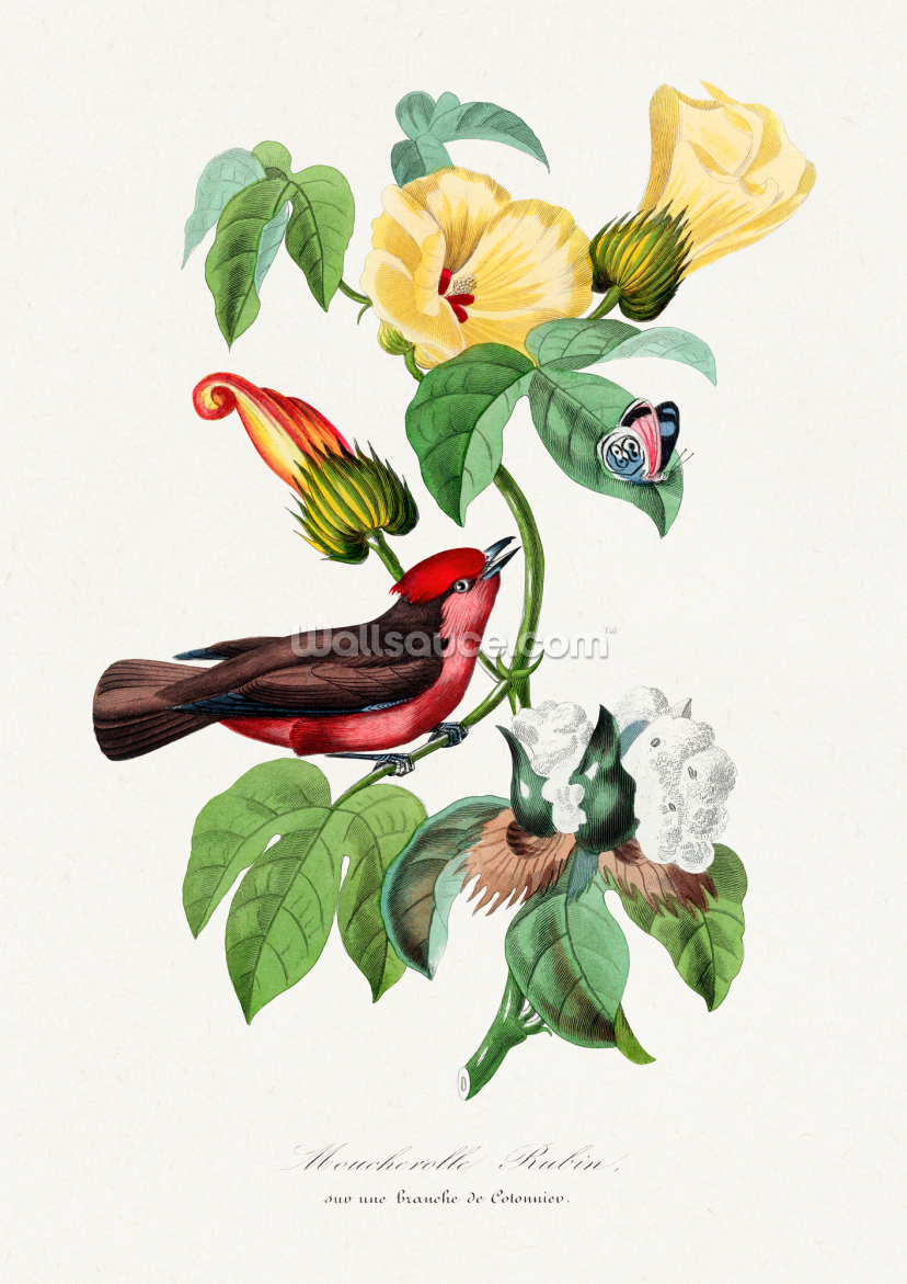 Vermilion Flycatcher Painting Vermilion Flycatcher Painting