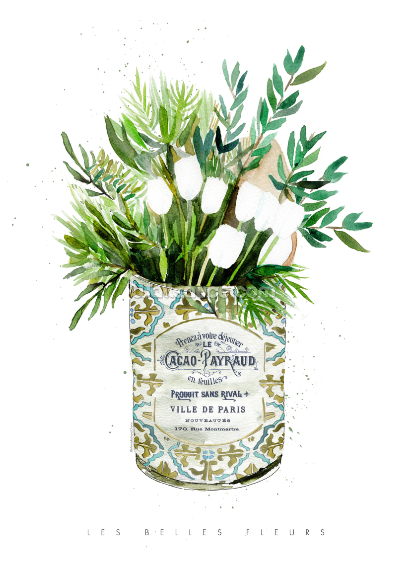 Tulips In Vintage Can Tulips In Vintage Can