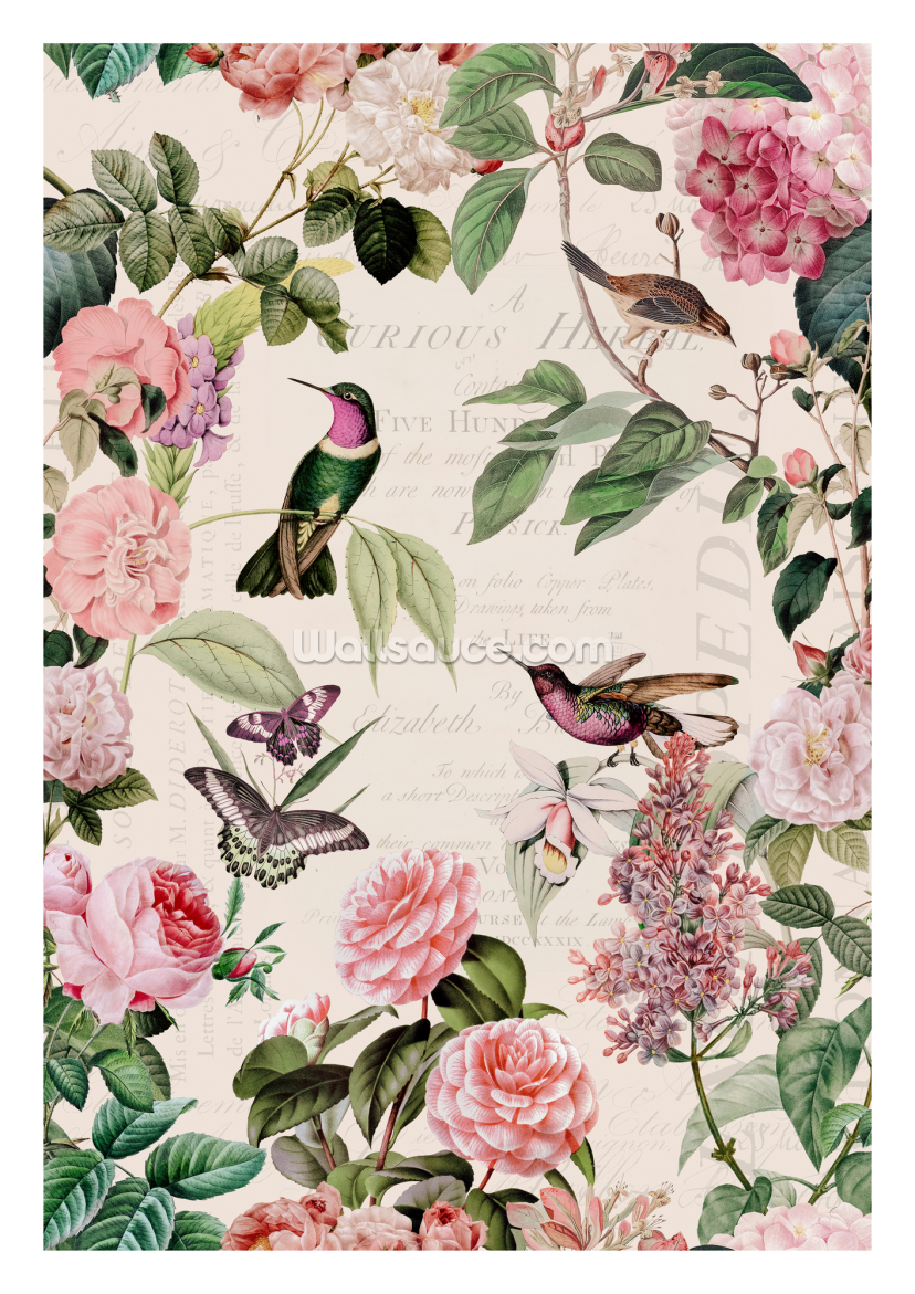 Hummingbirds Rose Garden Hummingbirds Rose Garden