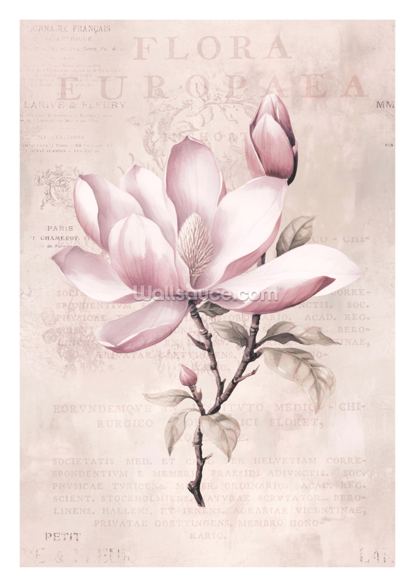 Magnolia Spring Romance III Magnolia Spring Romance III