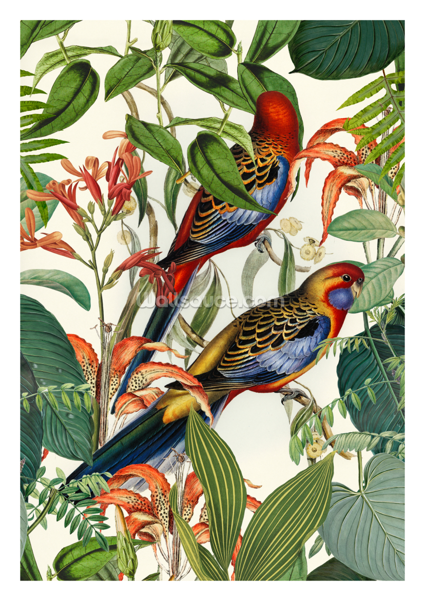 Tropical Bird Garden Tropical Bird Garden