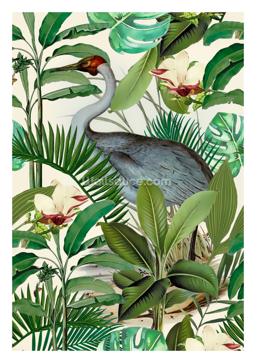 Tropical Heron Tropical Heron